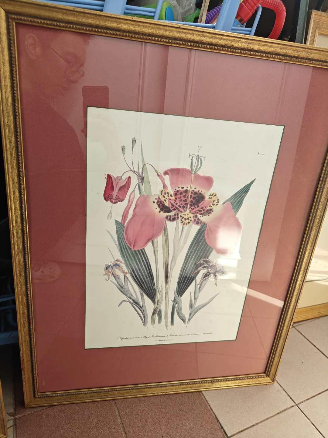 Vintage Botanical Floral Print