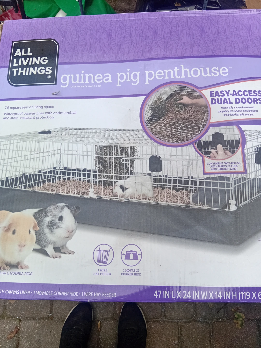 All Living Things Guinea Pig Penthouse