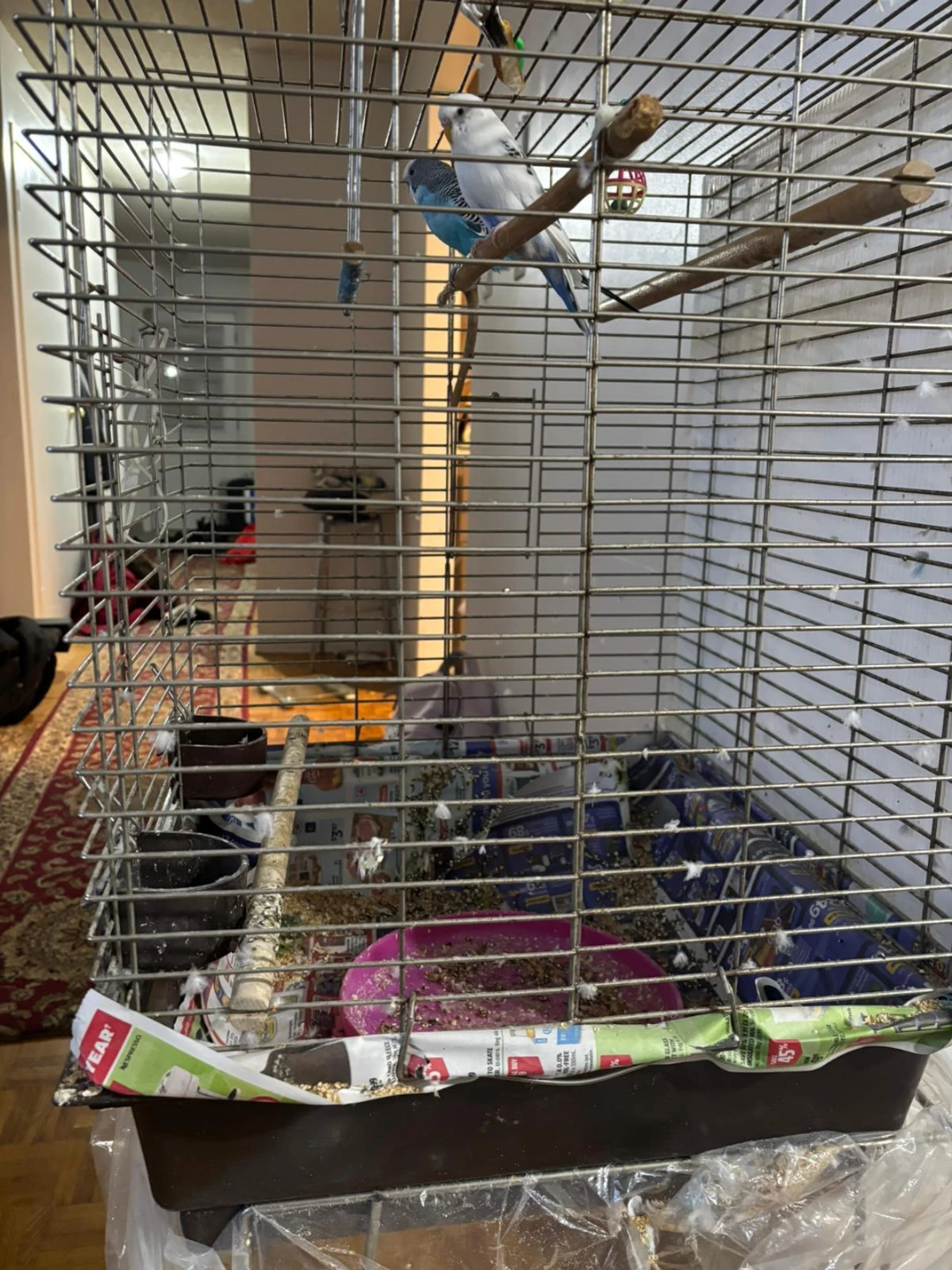 Budgie Bird Cage - photo 4