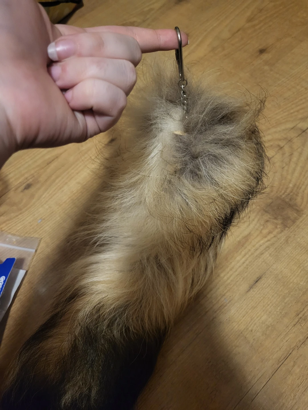 Oddity Tail keychain - photo 4