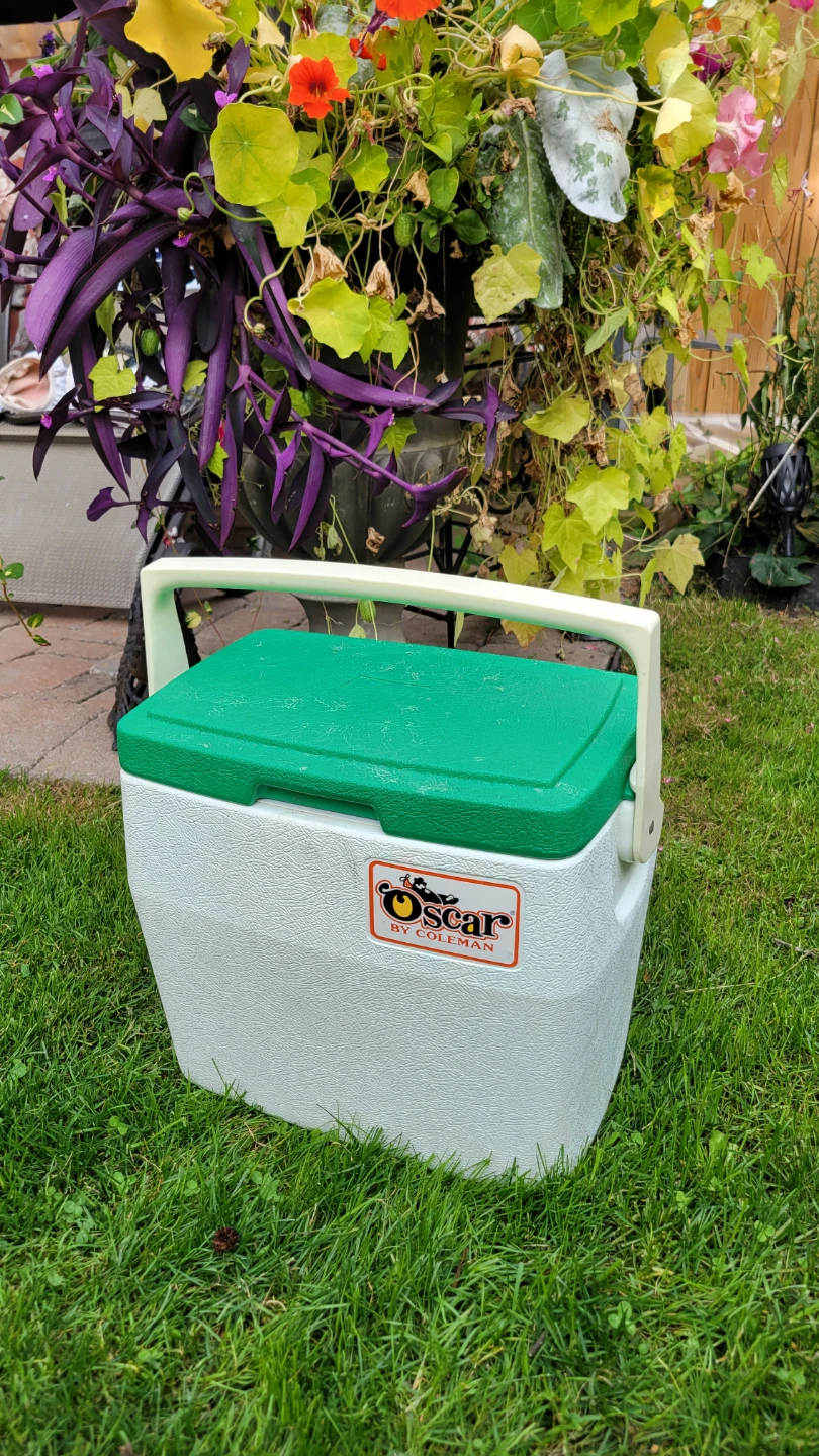 Oscar by Coleman Cooler-$10