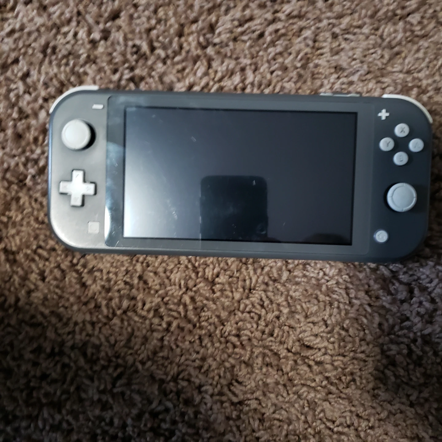 Nintendo Switch Lite Console