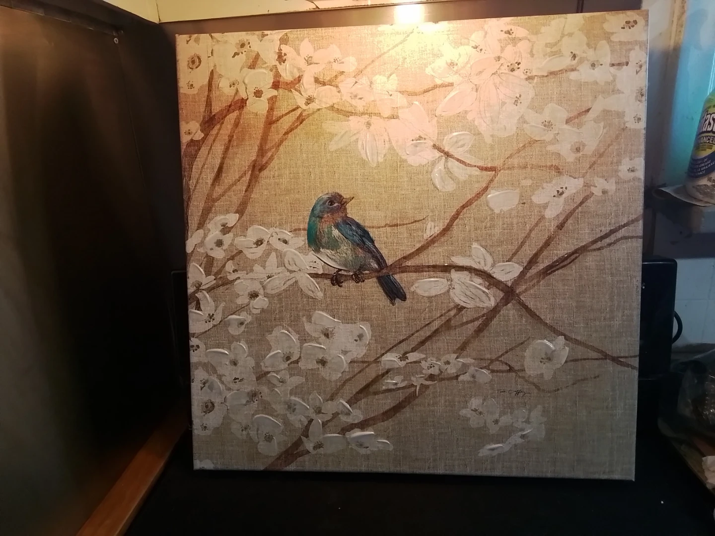 Tim Coffey Bird Canvas Art