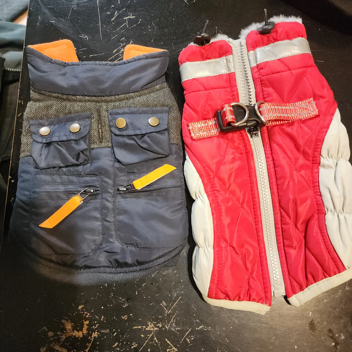 Assorted Dog Apparel and Accessories - photo 4