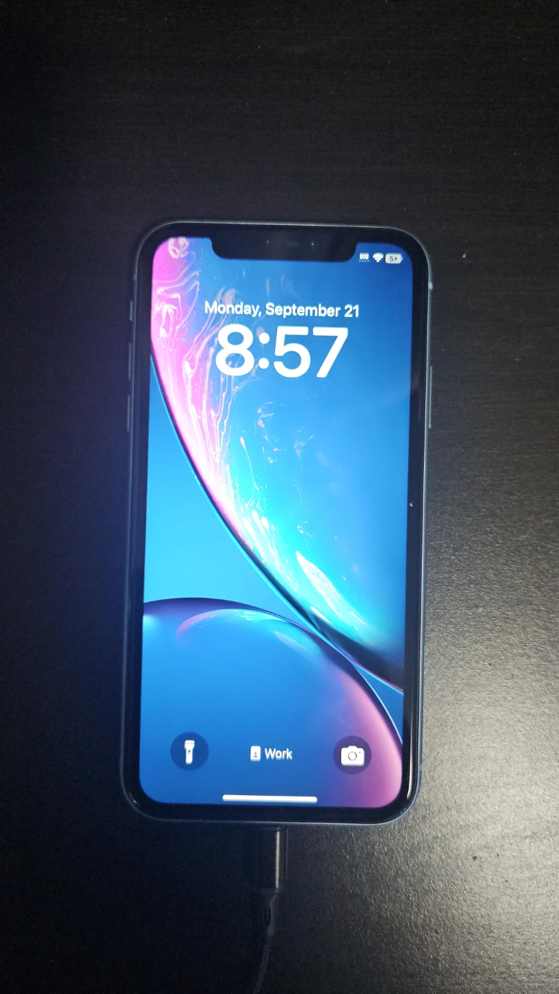 Apple iPhone XR Blue 64gb - photo 3