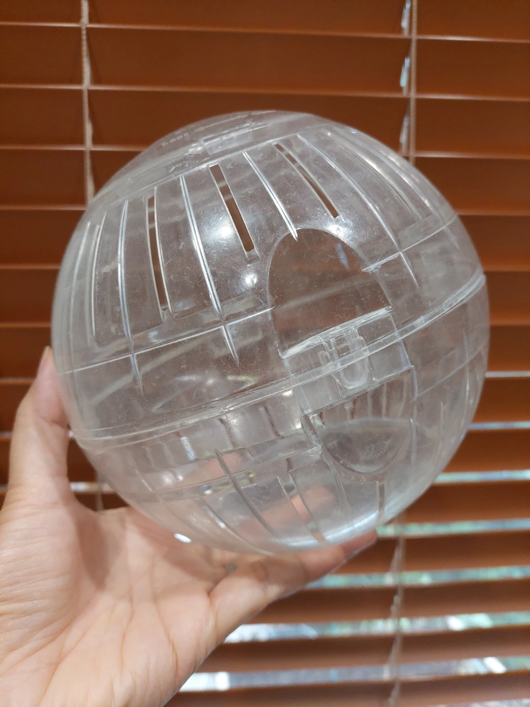 Hamster Ball for Small Pets 🏈