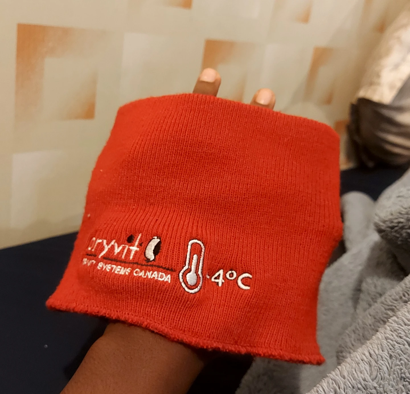 Dryvit Systems Canada Red Beanie