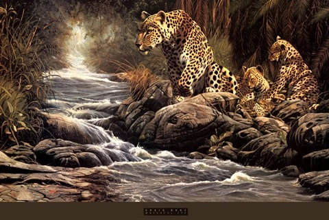 Craig Bone Watchful Eye Framed Print