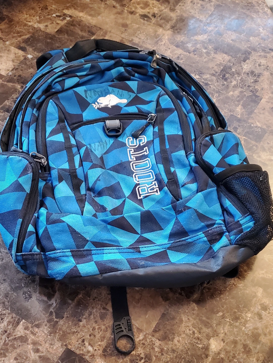 Adidas & Roots Laptop Backpacks - photo 3