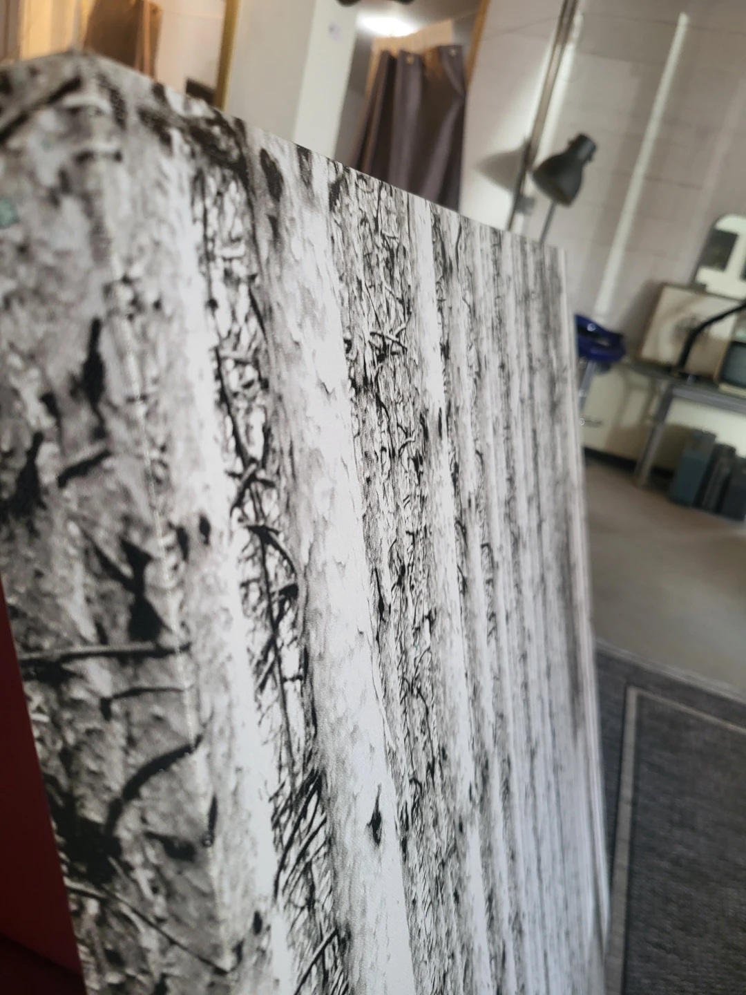 Large 48" x48" Black and White Forest Canvas Art - photo 3