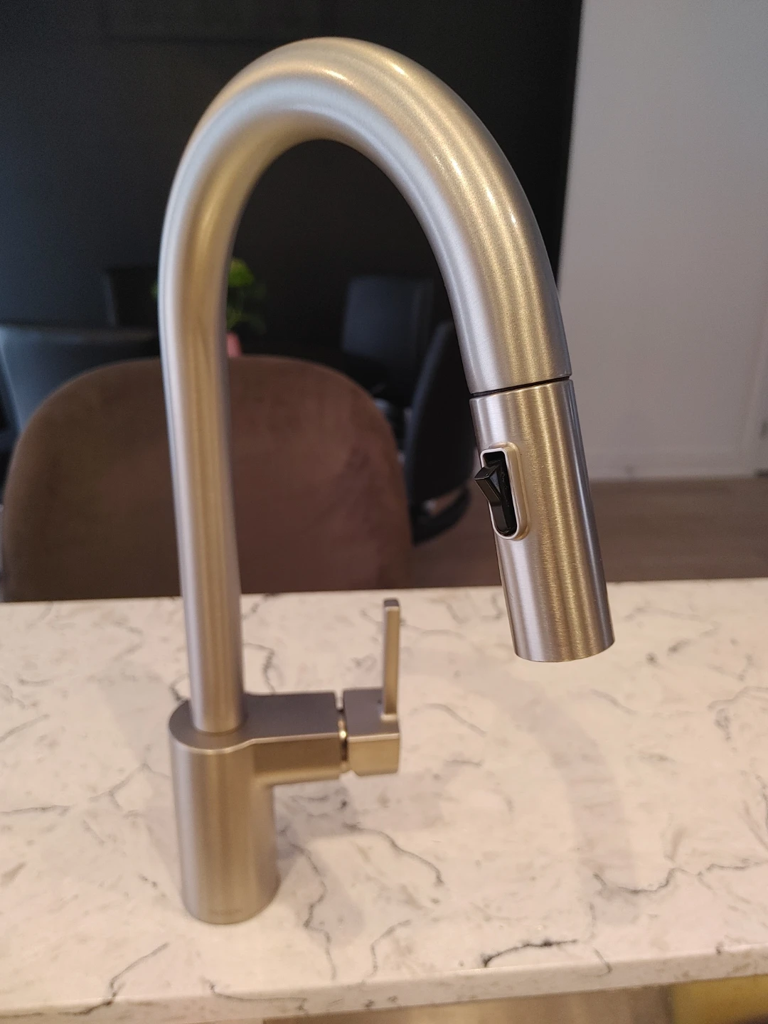 Moen Kitchen Faucet