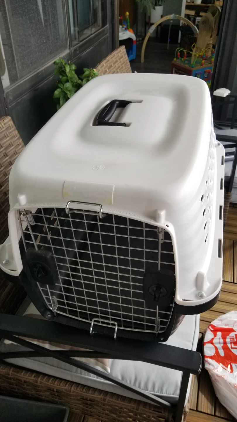 Petmate Compass 24-inch Pet Carrier