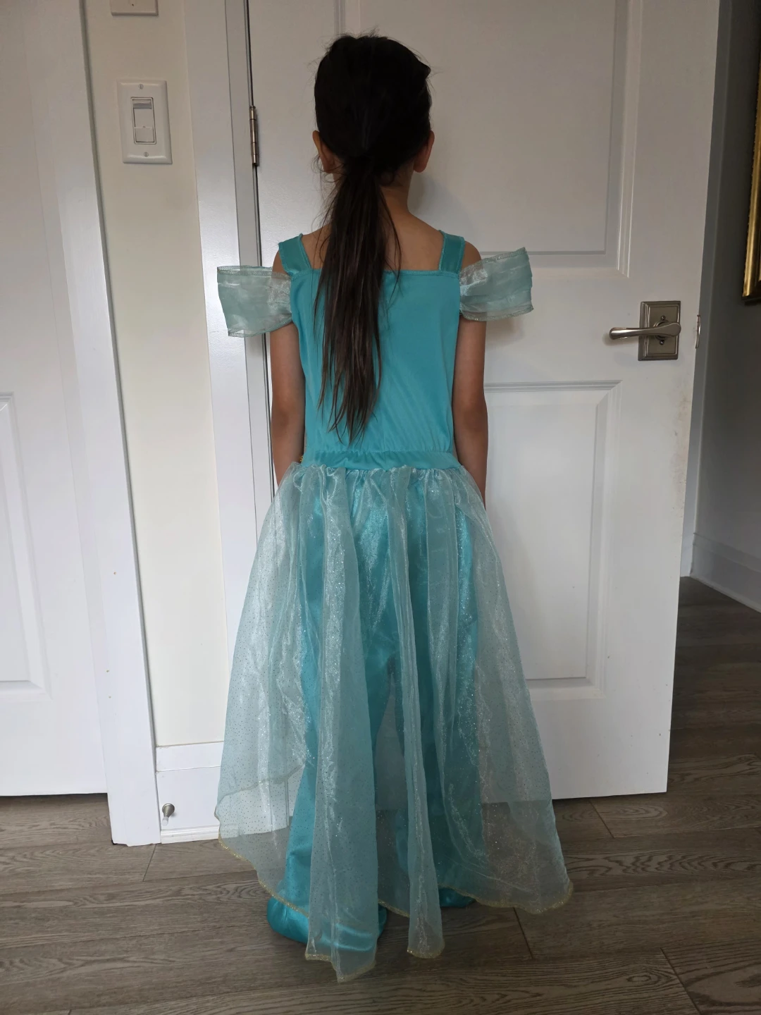 Disney Princess Jasmine Costume - photo 2