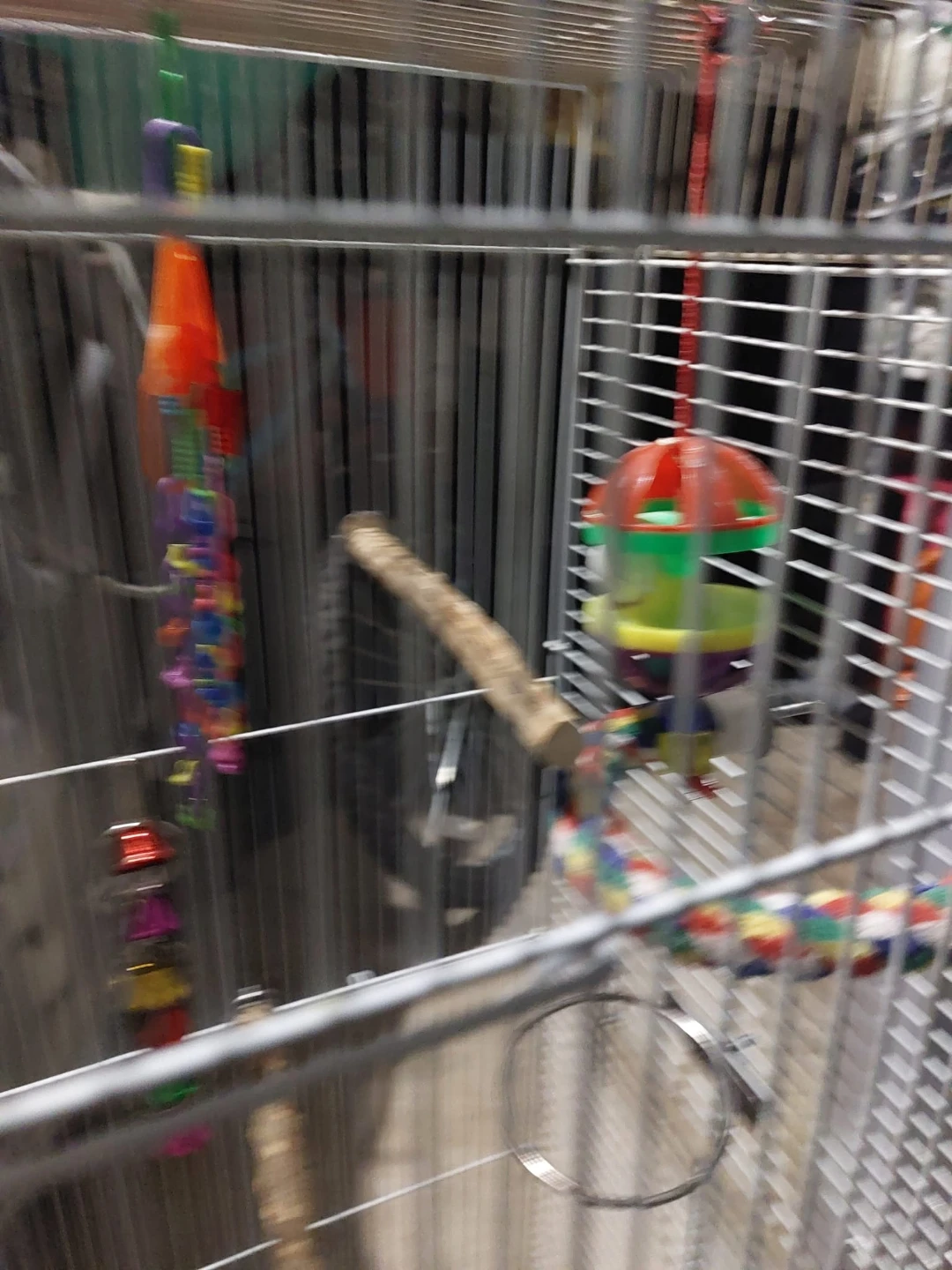 Prevue Pet Products Bird Cage - photo 3
