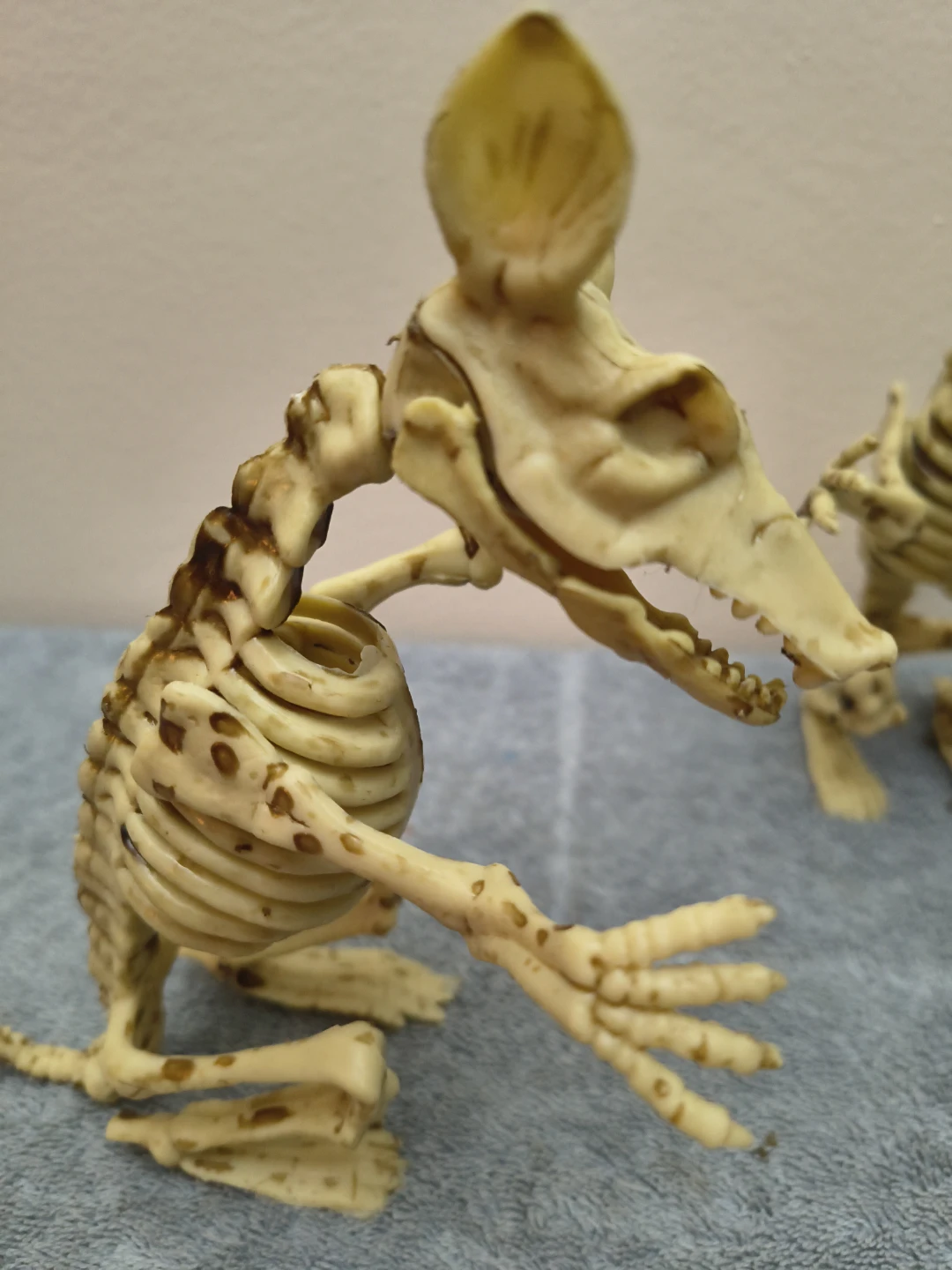 Halloween animals - photo 2