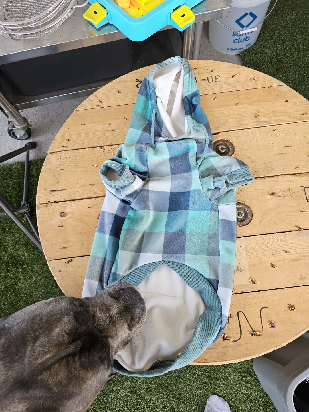 Spark Paws Dog Hoodie Green Plaid 2XL - photo 5