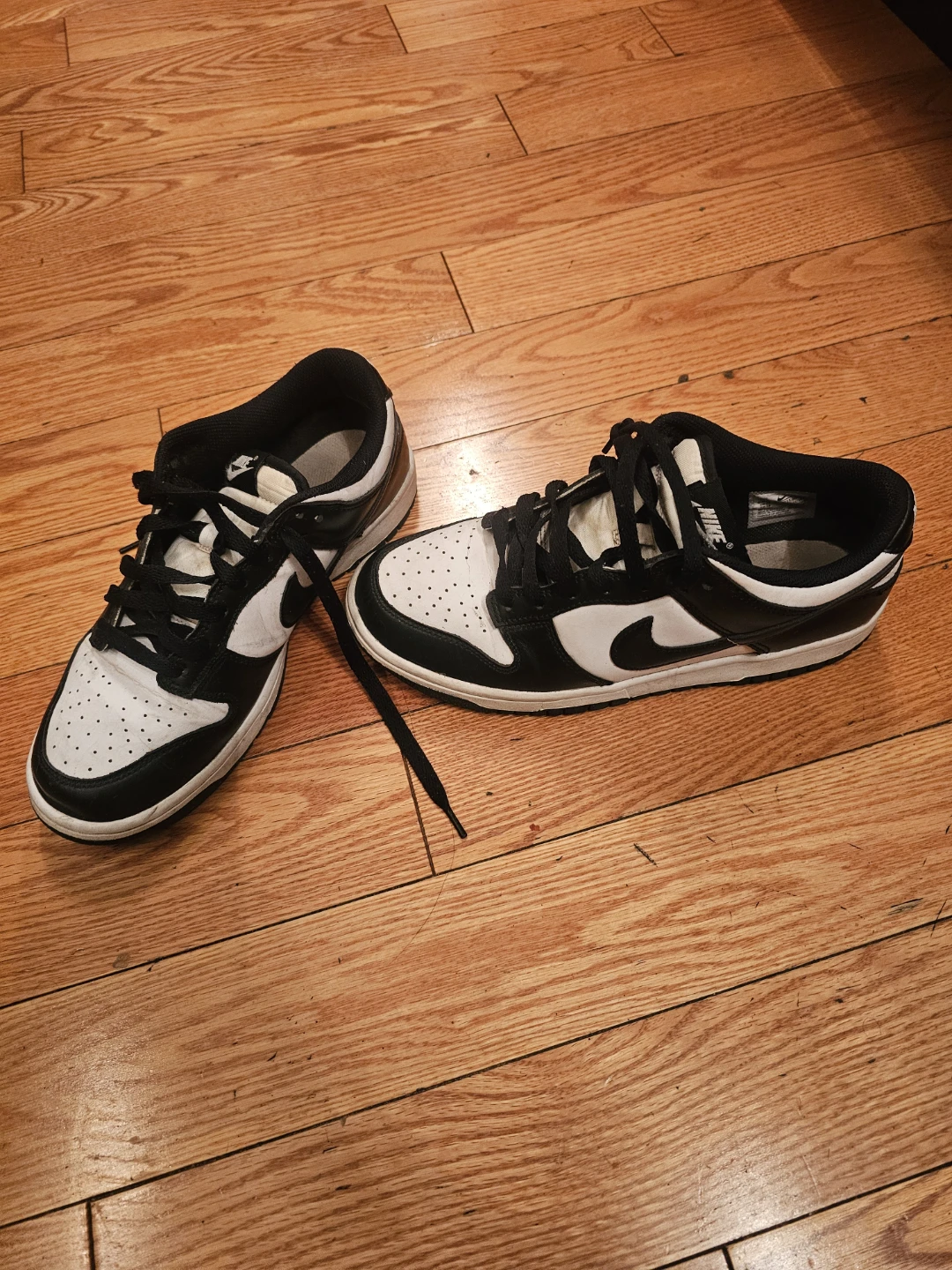 Nike Dunk Low shoes