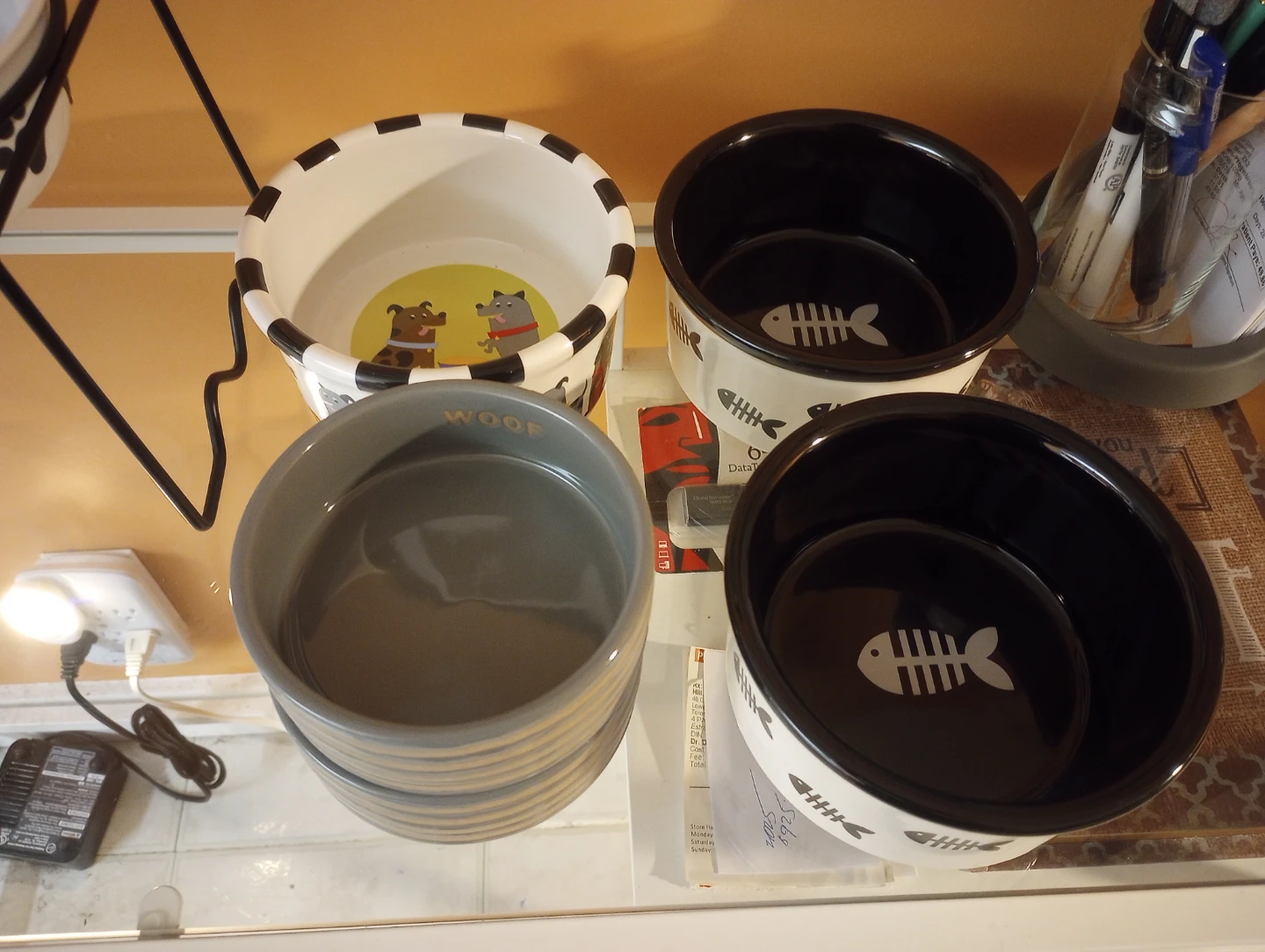 Pet Bowl Extravaganza - photo 4