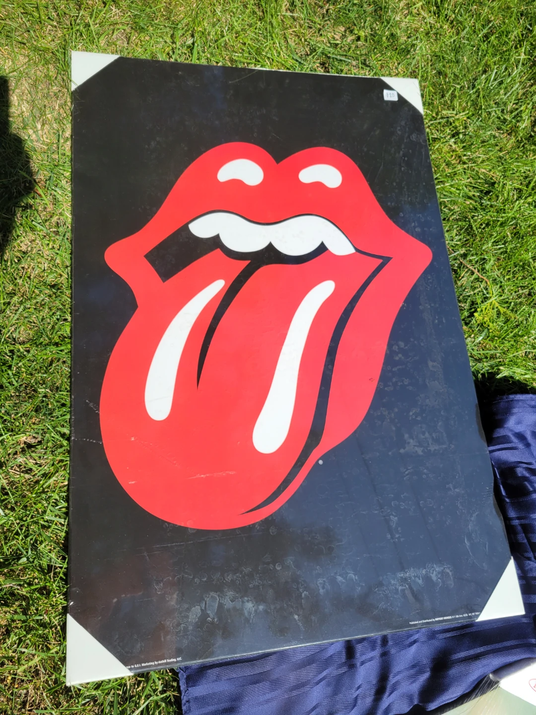 The Rolling Stones Tongue Logo Wall Art