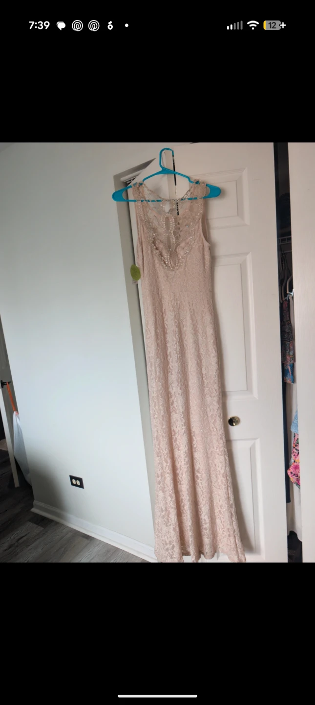 Windsor Nude Lace Gown, Size 5 - photo 4
