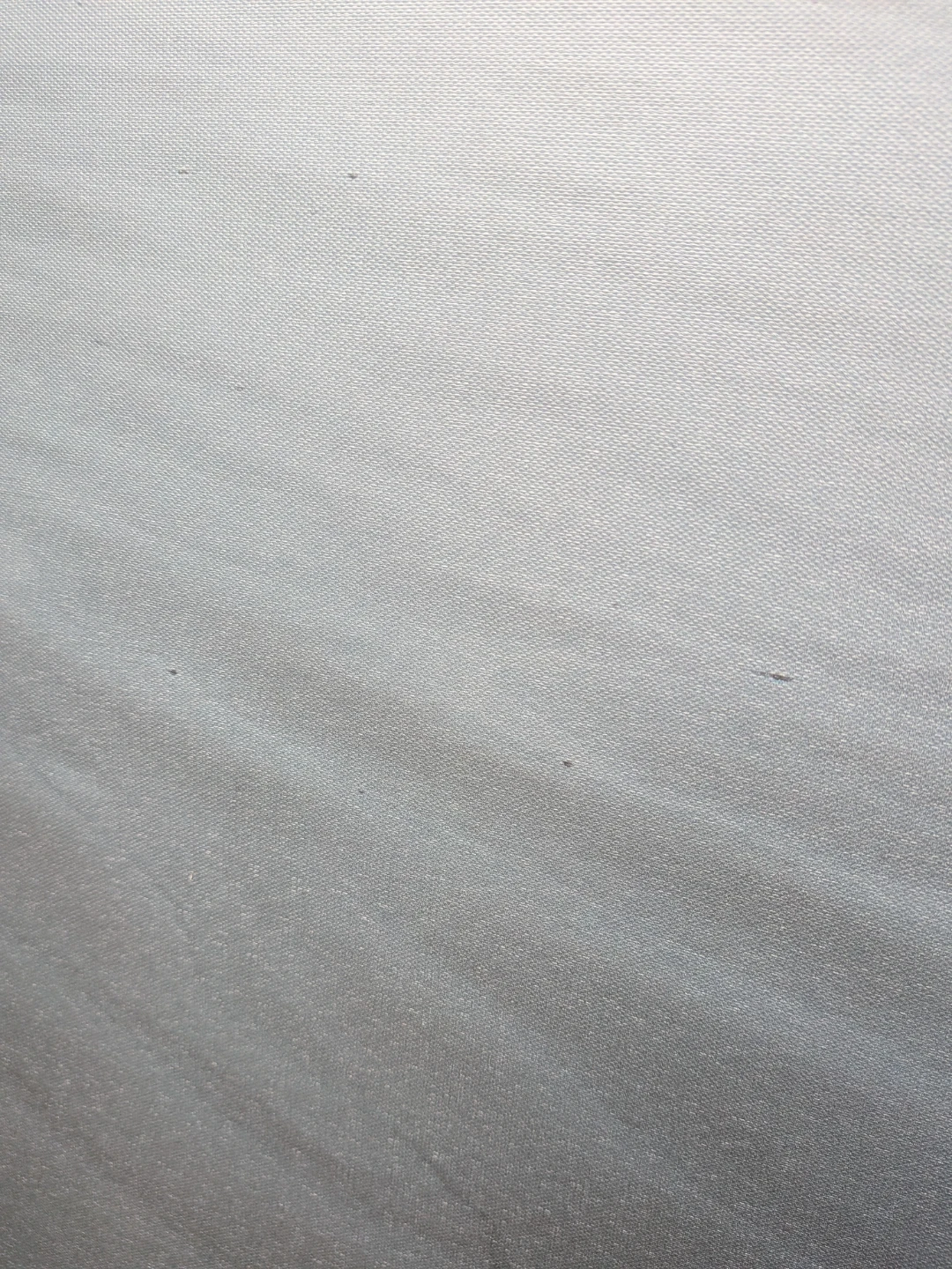 Canvas Print - Foggy Beach with Birds - photo 5