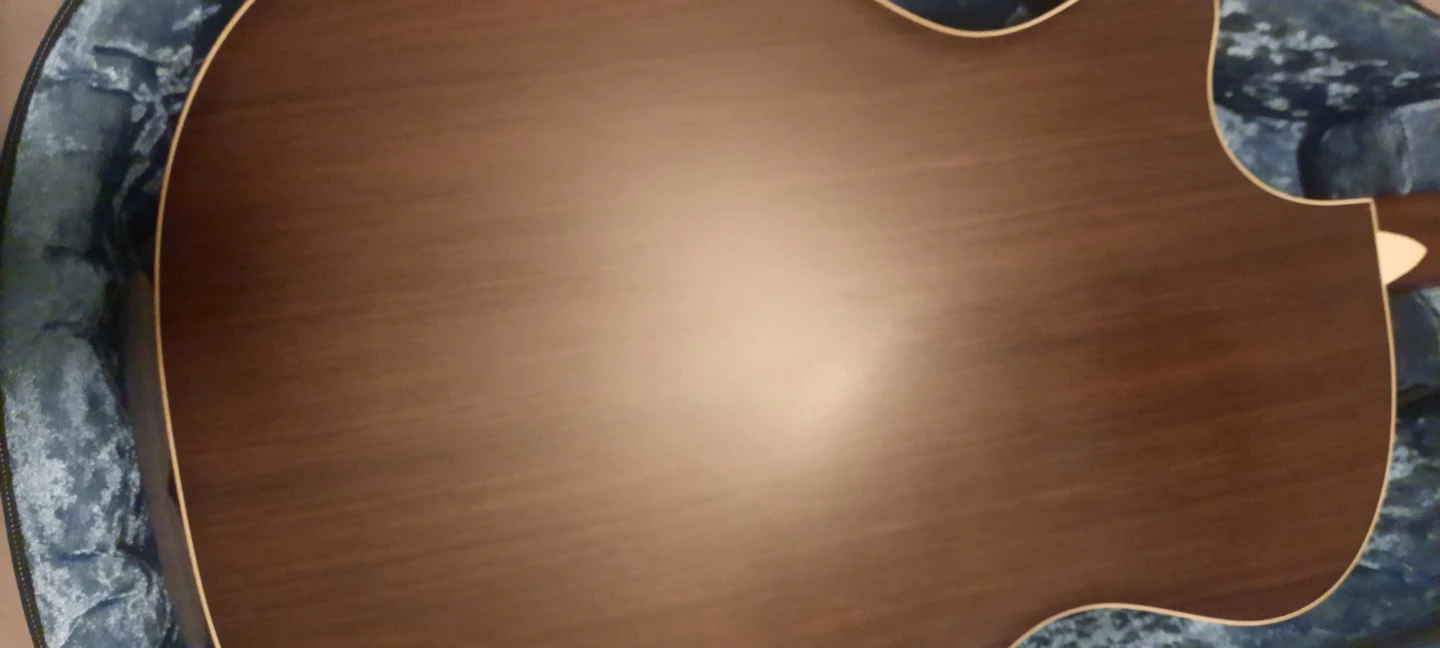 Martin & Co Acoustic Guitar - photo 5