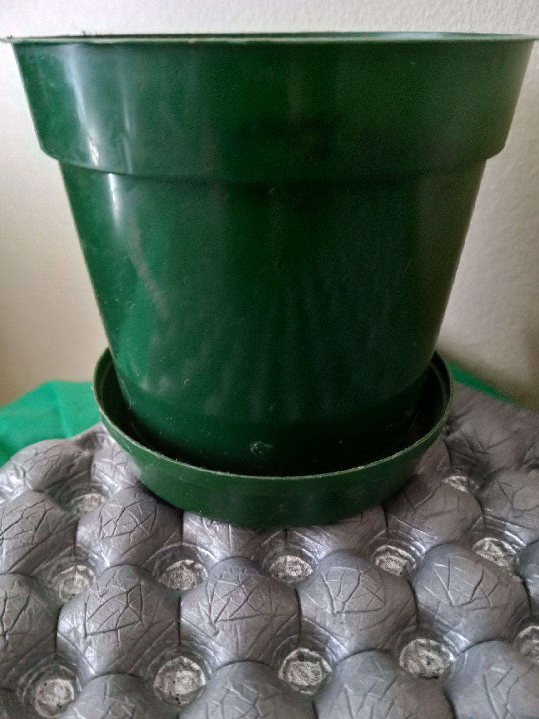 Green plastic plant pot with saucer 🏈