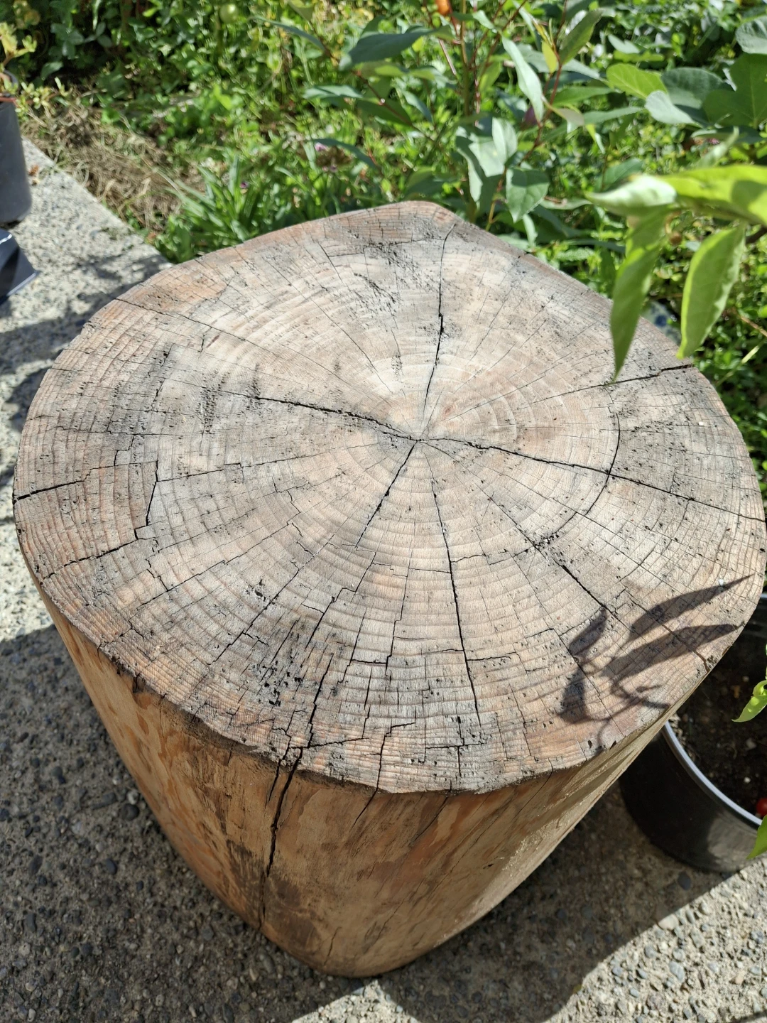 Natural Wood Log Side Table - photo 5