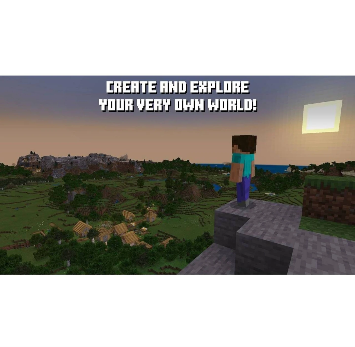 Minecraft for Nintendo Switch - photo 3