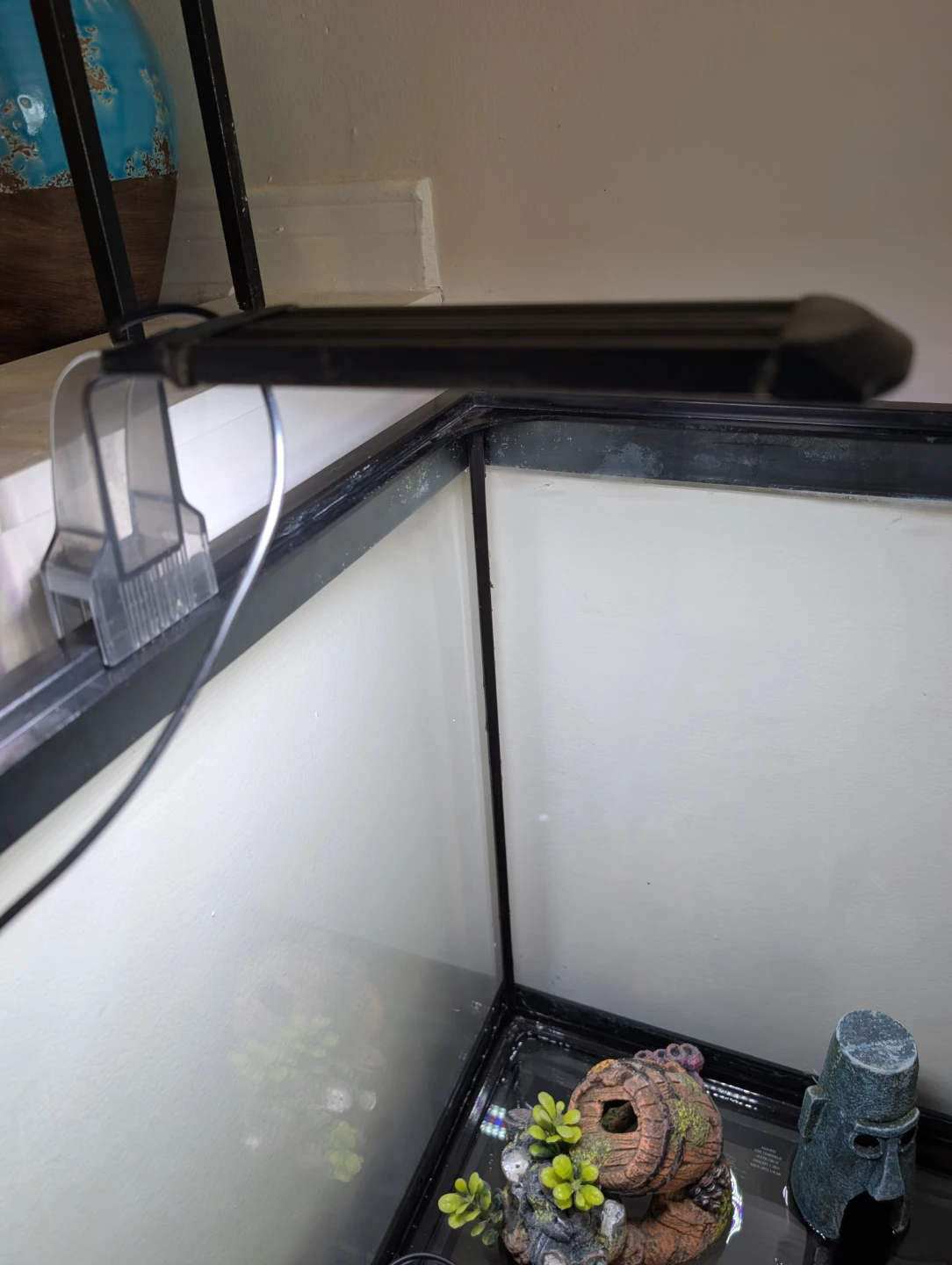54 gallon corner bow front aquarium. - photo 3