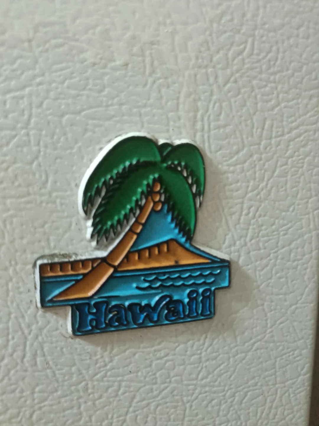 Hawaii Souvenir Refrigerator Magnet🏈