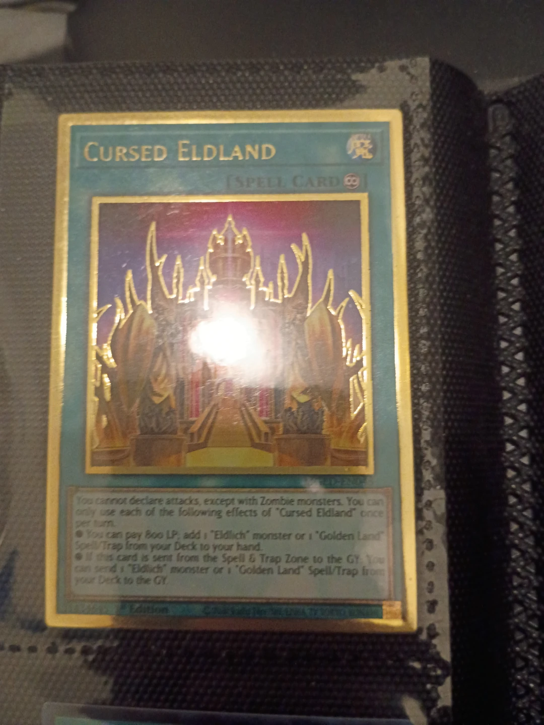 Yu-Gi-Oh! Cursed Eldland Card🏈