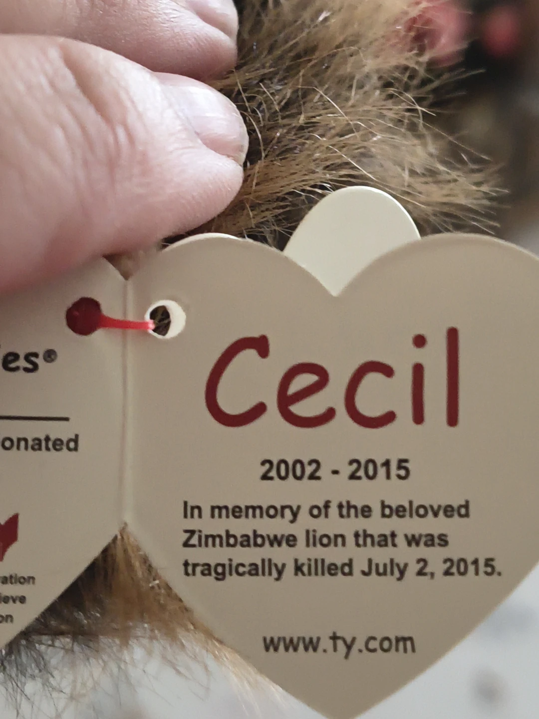 Ty Beanie Baby Cecil the Lion Plush - photo 4