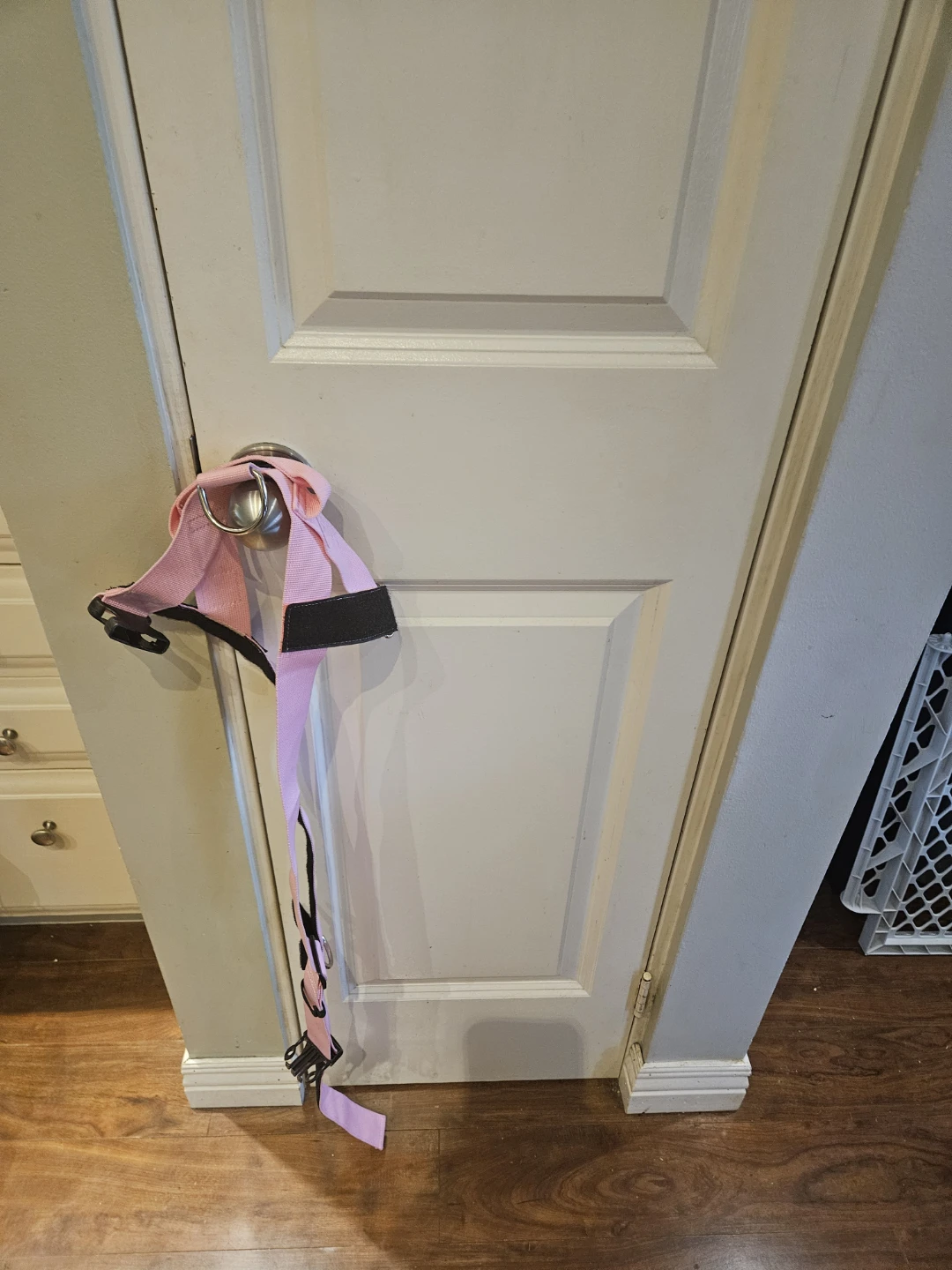Pink dog harness - photo 3