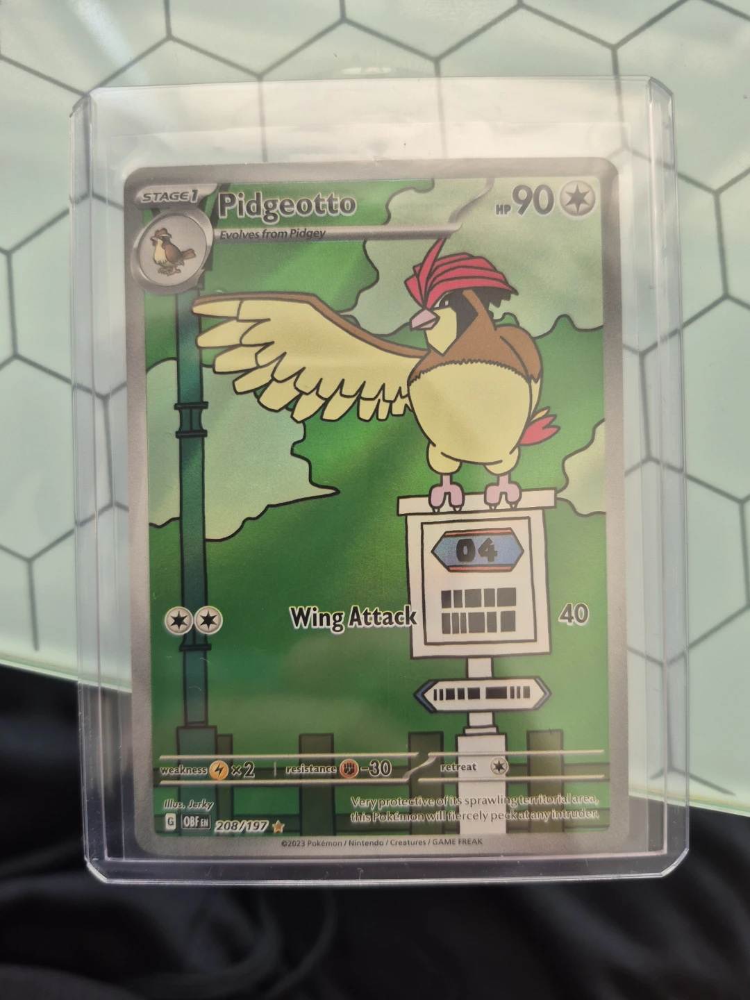 Pidgeotto Illustration Rare - Obsidian Flames