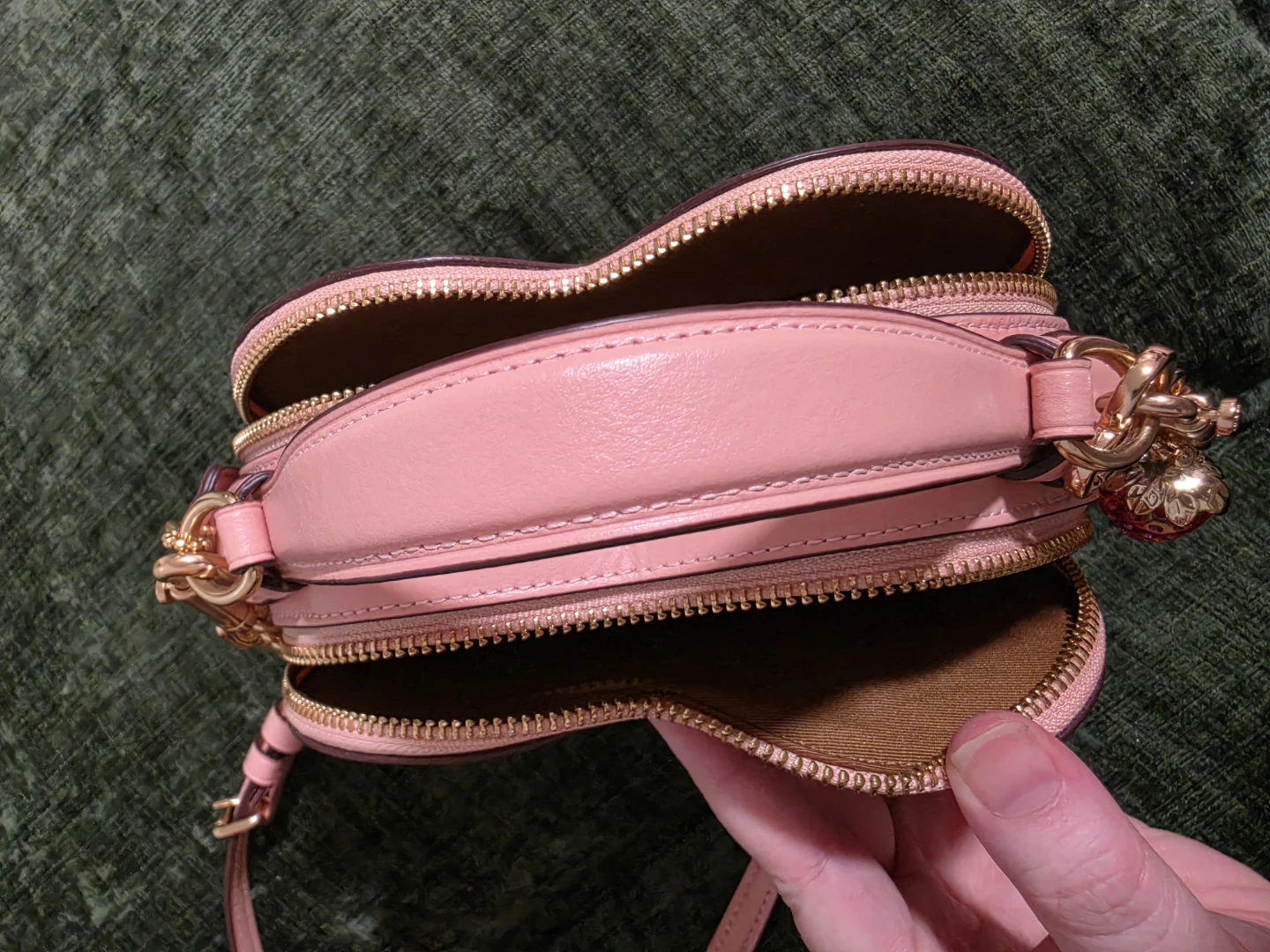 Coach Heart Bag Crossbody Canvas With Rose Snail Blueberries - photo 3