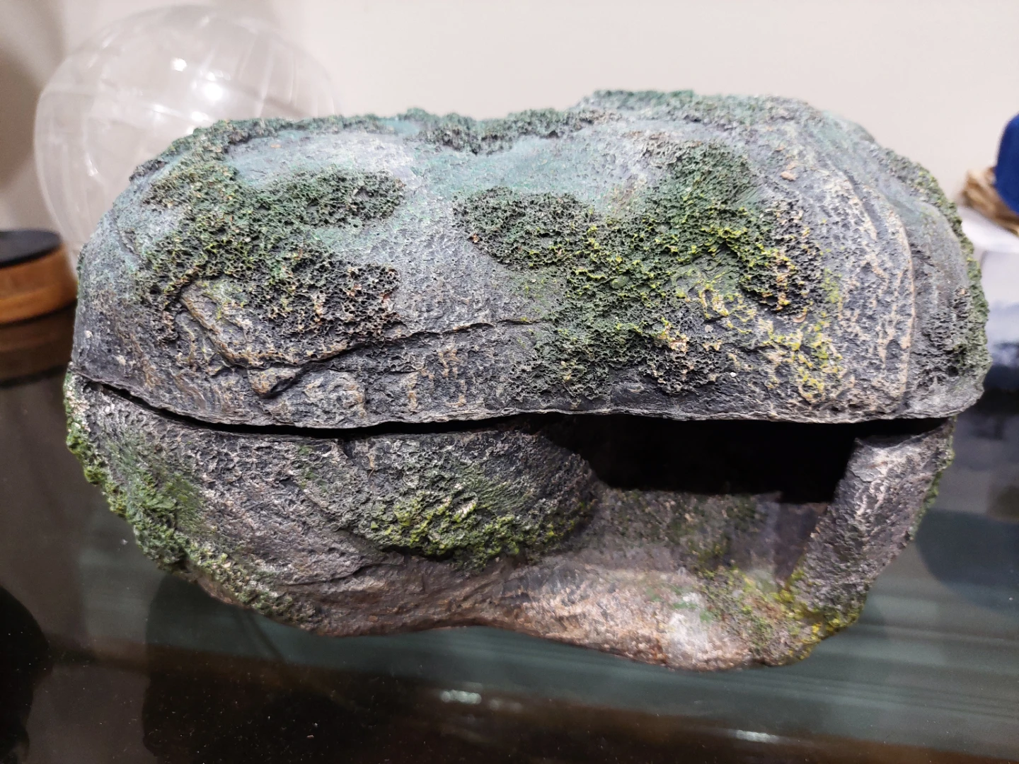 Reptile Cave - Zilla Rock Lair LARGE 🏈