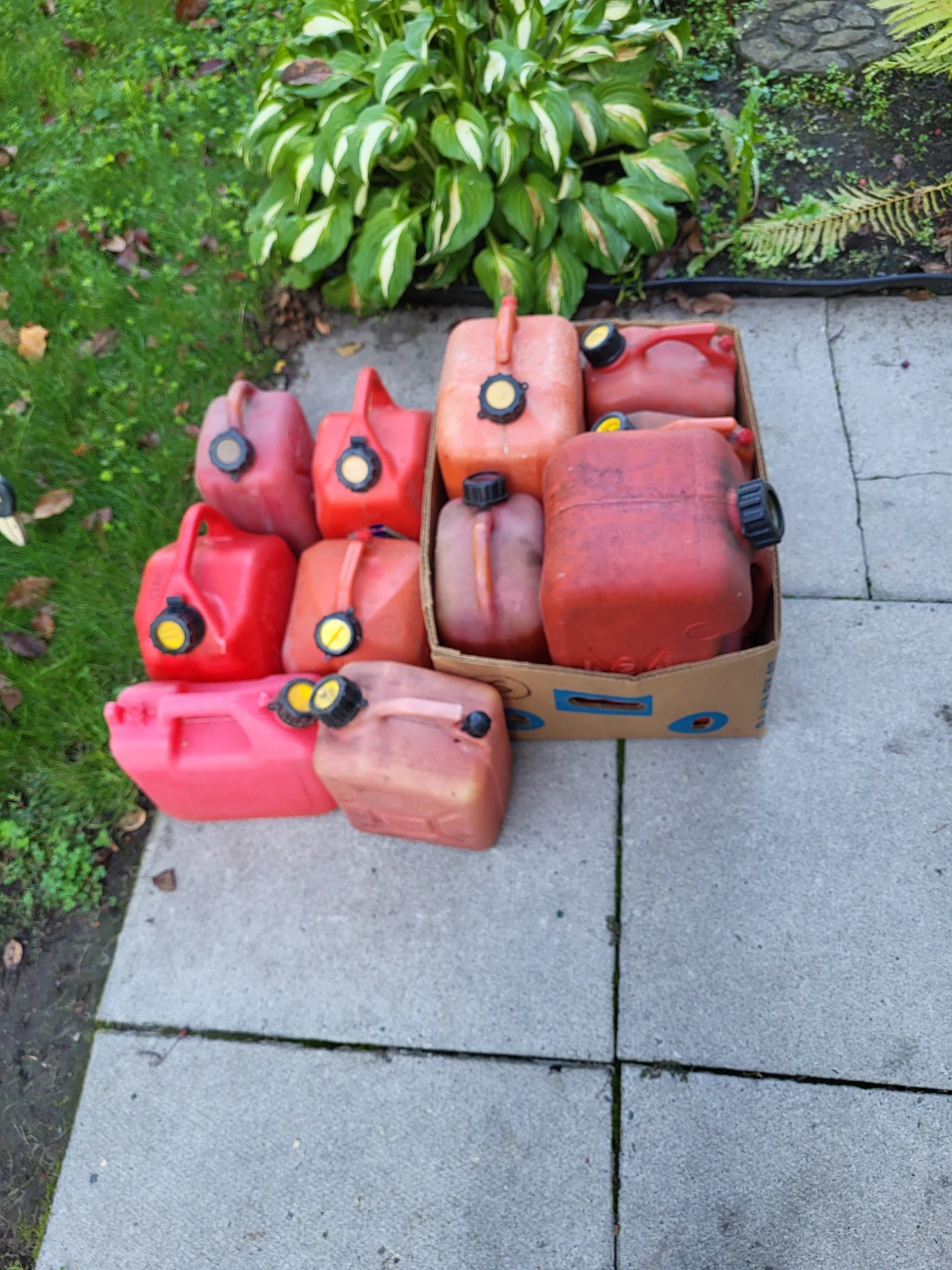 Assorted Red Plastic Gas Cans
