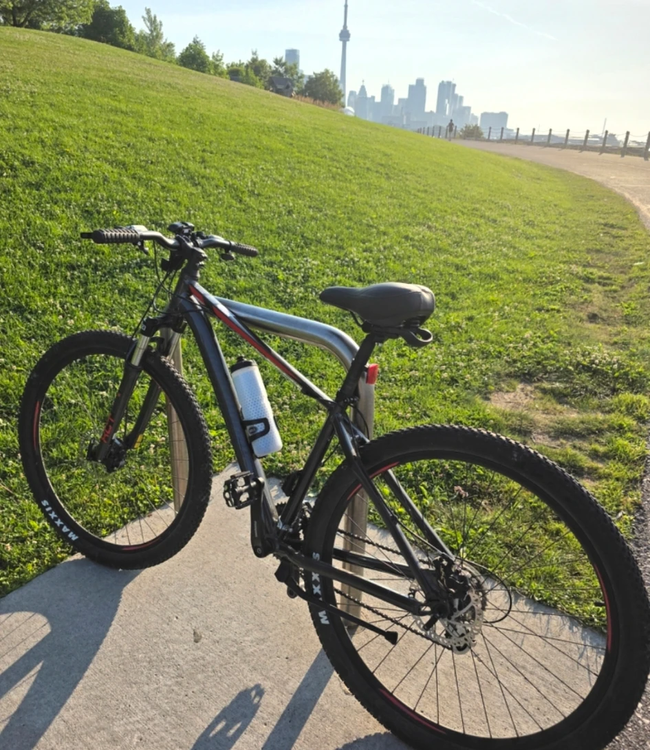 Northrock 29" bike - photo 2