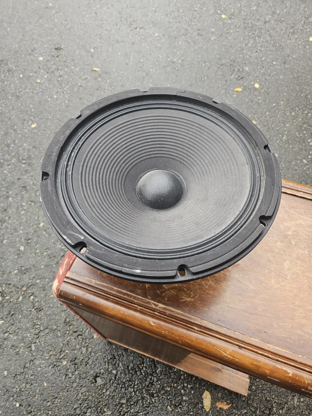 15-inch Replacement Speaker Woofer - photo 2