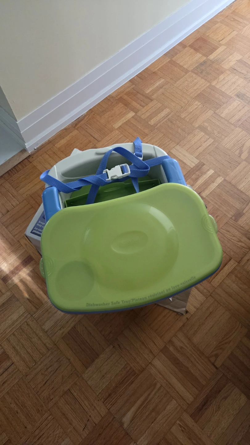 Fisher-Price Healthy Care Booster Seat - photo 2