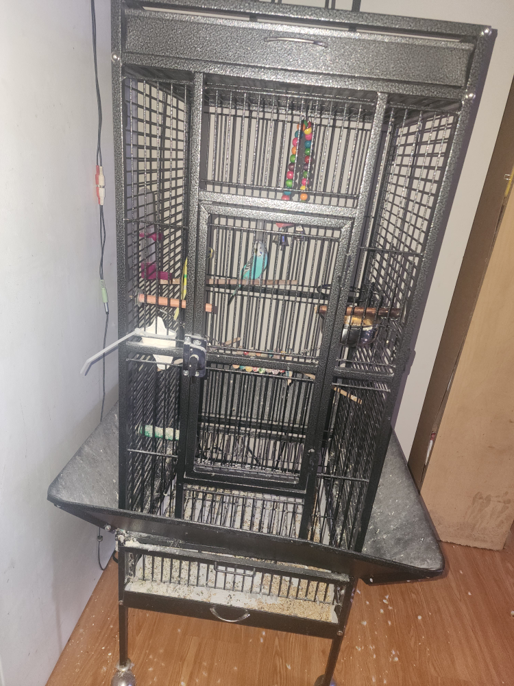 Tall Black Metal Bird Cage with Accessories