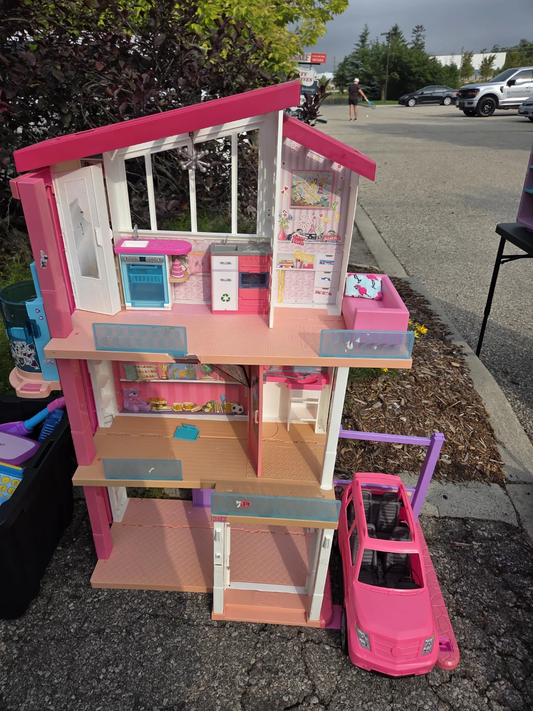 Large Barbie Doll Collection and Accessories - photo 2