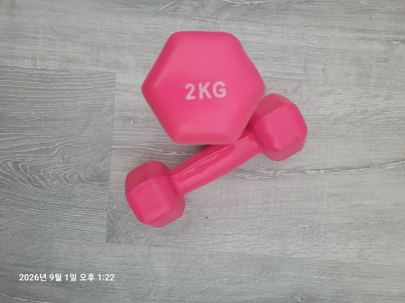 Pink 2kg Dumbbell