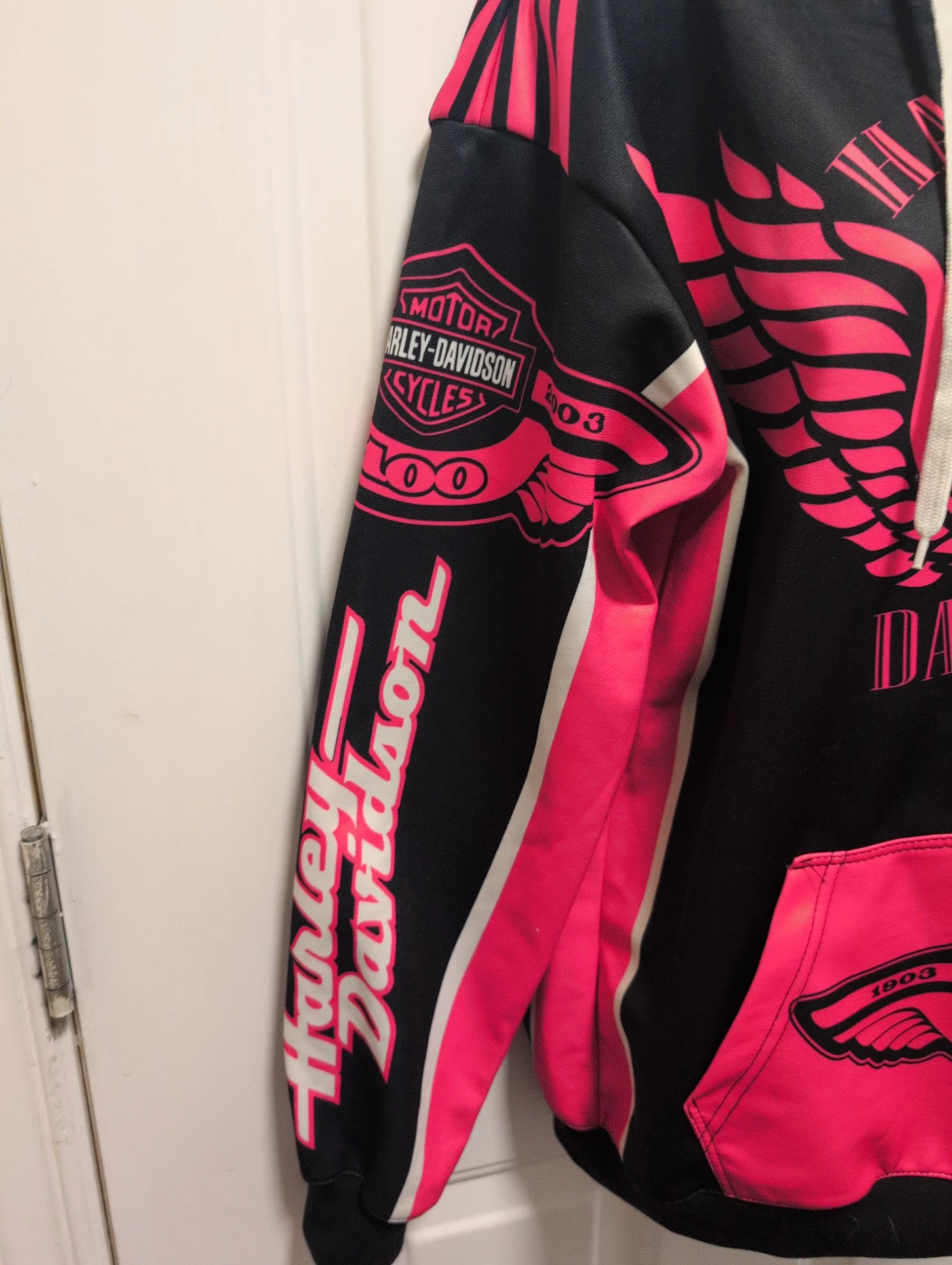 Harley-Davidson Motorcycles Hoodie - photo 3