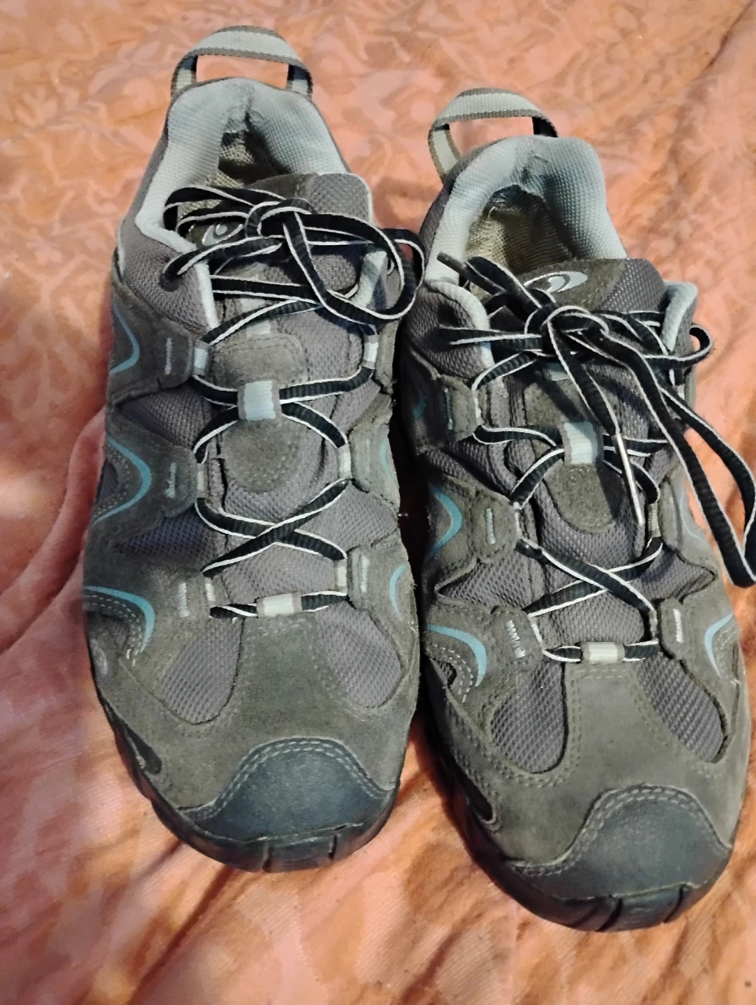 Salomon Hiking Shoes
