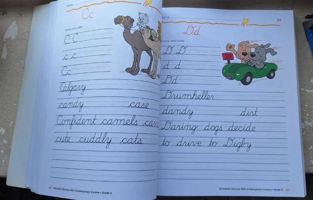 Scholastic Success with Grade 3 Workbook🏈 - photo 3
