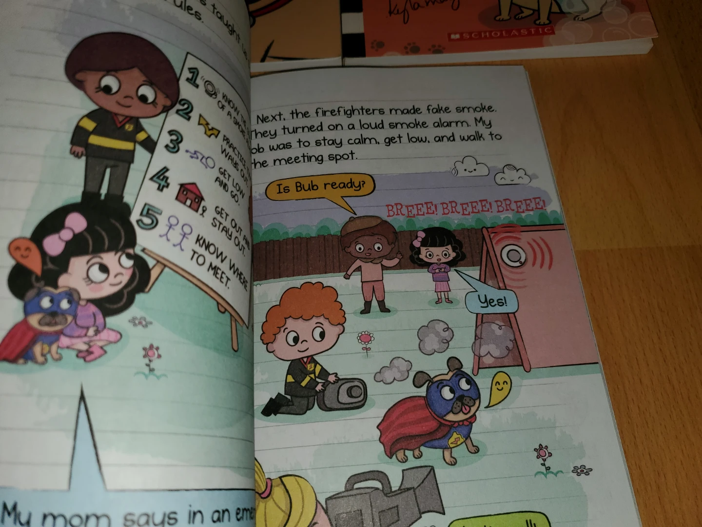 ($3 each) Diary of a Pug Books - photo 3