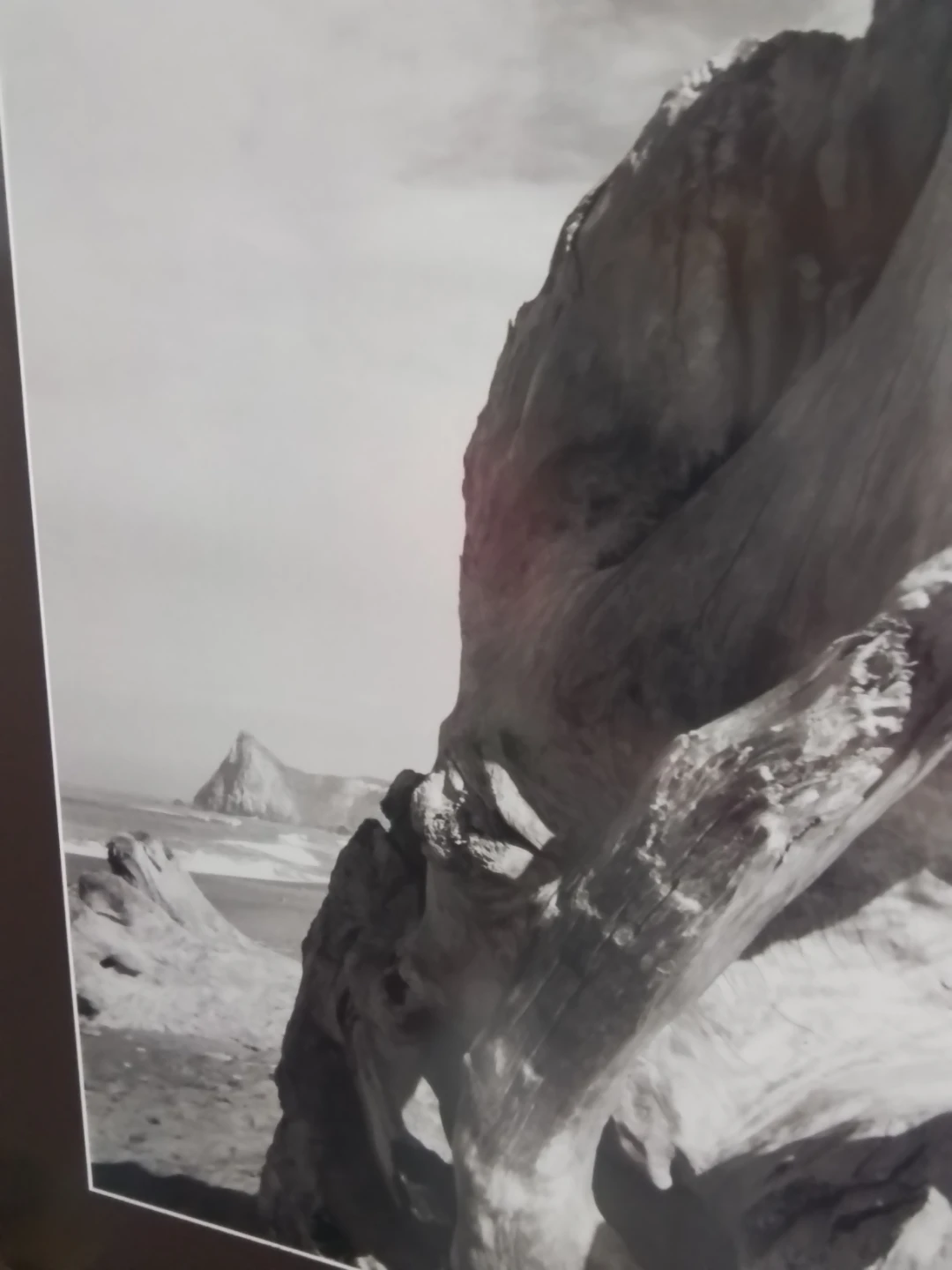 Ansel Adams Framed Fine Art Print - photo 2