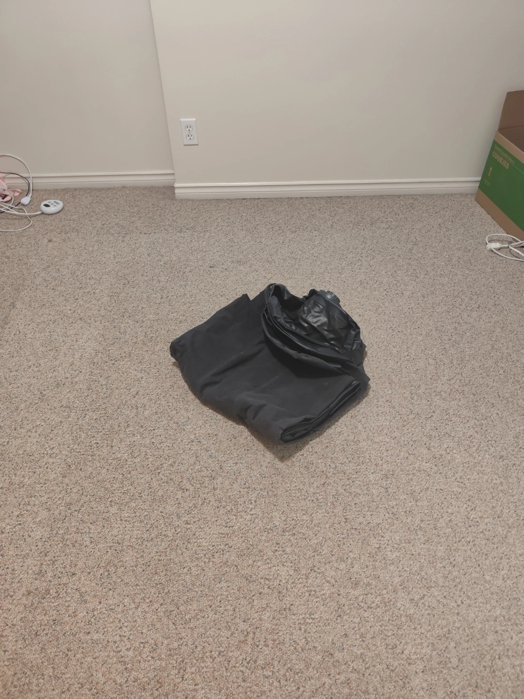 Intex Air Mattress with Built-in Pump: pickup on monday morning! - photo 2